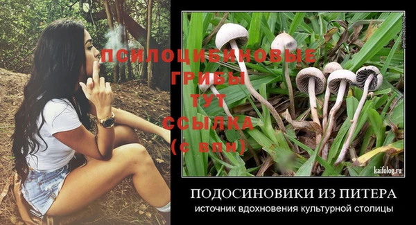 экстази Абаза