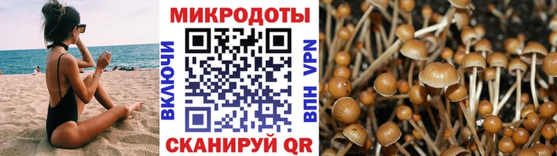 Галлюциногенные грибы Magic Shrooms  Канск 