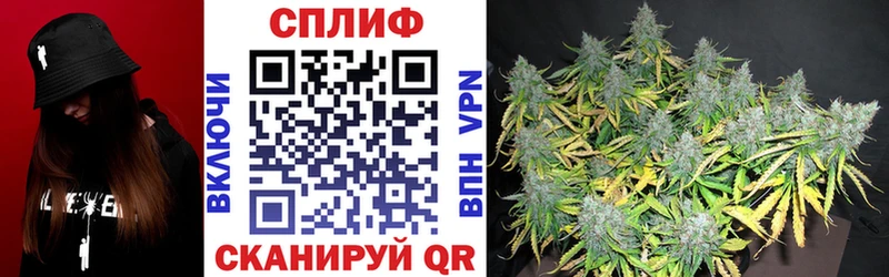 наркота ОМГ ОМГ ССЫЛКА Бошки Шишки SATIVA & INDICA Канск